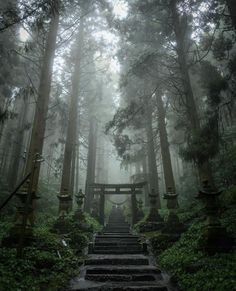 the stairs lead up to an entrance in the woods