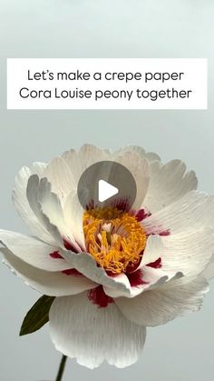 a white flower with the words let's make a crepe paper coral lotus peony together