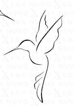 a black and white drawing of a humming bird