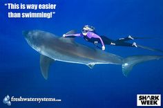 a woman scubas next to a shark in the ocean