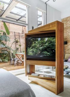 the television is mounted on the wall in the living room, and it's surrounded by plants