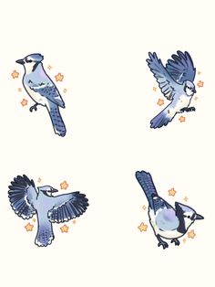 four blue birds flying in the air with their wings spread out and stars around them