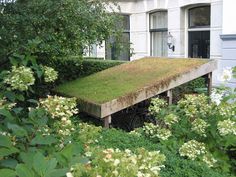 an old wooden bench covered with grass in front of a building surrounded by bushes and flowers