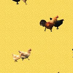 chickens and roosters are flying in the air together on yellow polka doted paper