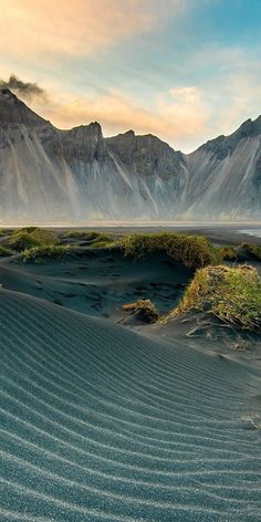 sand dunes with grass and mountains in the background