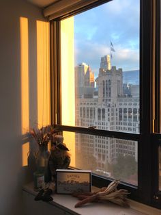 a window sill with a view of the city from it's windowsill