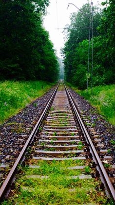 an old train track in the middle of a forest with trees and grass on both sides