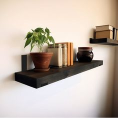 a shelf with some books and a potted plant sitting on it's side