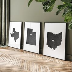 three black and white framed pictures sitting on top of a wooden floor next to a potted plant