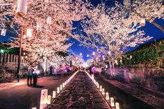 two people standing next to each other in front of trees with white flowers on them