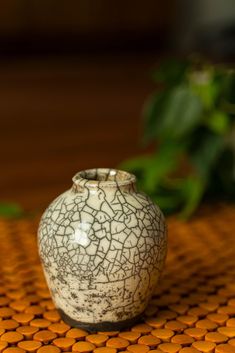 a white vase sitting on top of an orange table next to a potted plant