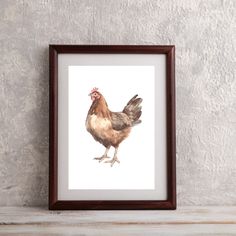 a framed print of a chicken on a white background in a wooden frame hanging on a wall