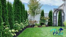 the front yard is neatly trimmed and ready to be used for landscaping