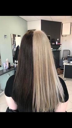 Two Colored Hair Half, Have Blonde Half Brown Hair, Brown And Blonde Half And Half, Blonde And Brown Hair Half, Split Dye Half Brown Half Blonde, Half Blonde And Half Brown Hair, Blond And Brown Split Dye, Half Brown Half Blond Hair