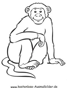 a monkey sitting on the ground with its legs crossed and his head turned to the side