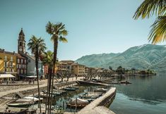 boats are docked in the water next to palm trees and buildings with mountains in the background