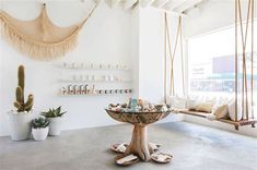 a living room filled with furniture and hanging plants