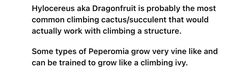 the words are written in black and white on a piece of paper that says, hycereusa aka dragonfruit is probably the most common climbing cactus