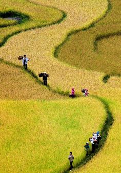 several people are standing in the middle of a field