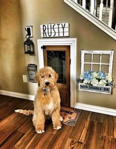 a dog is sitting on the floor in front of a house