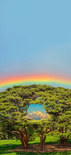 a rainbow is in the sky over some trees