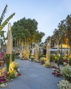 an outdoor garden with lots of plants and flowers on the ground in front of trees