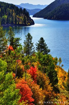 a lake surrounded by lots of trees in the middle of fall colors with mountains in the background