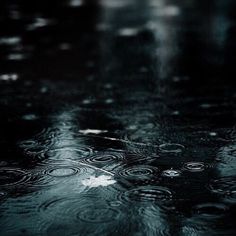 raindrops are falling on the ground in the dark