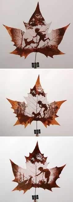 three photographs of leaves in different stages of being blown by the wind, and then falling to the ground