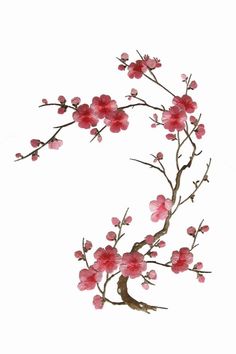 a branch with pink flowers on it against a white background