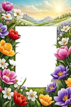 an image of flowers in the grass with a white frame