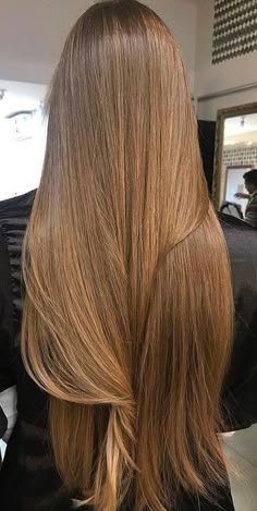 Honey Brown Hair, Honey Hair, Brown Blonde Hair, Tone Hair, Long Blonde, Hair Inspiration Color, Long Blonde Hair