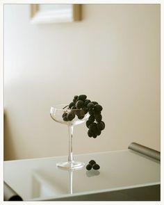 Still life Grape Grape Photography, Grapes Photography, Fruit Still Life Photography, Creative Still Life Photography, Wine Aesthetic, Black Grapes, Foto Shoot, Green Grapes