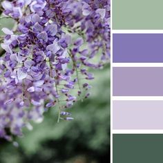 purple and green color palette with flowers