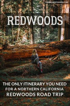 a woman sitting on top of a fallen tree in the woods with text reading redwoods