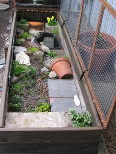 an outdoor garden with plants and rocks in the ground next to a fenced off area