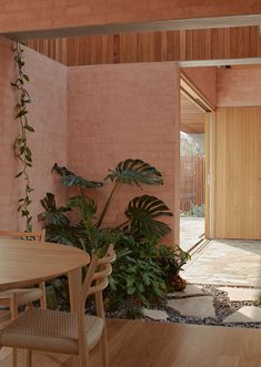 a room with a table and chairs near a plant on the floor in front of it