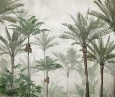 palm trees are shown in the background as it is foggy and has no leaves on them