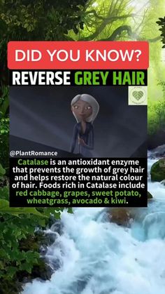 Gray Hair Natural, Grey Hair Home Remedies, Reverse Grey Hair, Reverse Gray Hair, Anti Aging Remedies, Home Remedies For Hair, Healthy Hair Tips, Hair Remedies