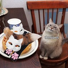 a cat is sitting on a chair next to a plate with some cats masks on it