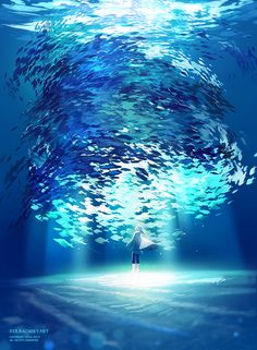 a person standing under the water in front of a large amount of blue and white fish