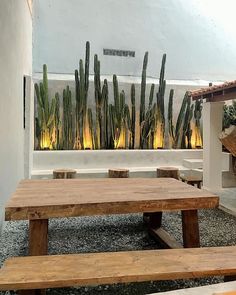 two wooden benches sitting next to each other in front of a wall with cacti on it