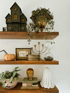 some shelves with plants and other decorations on them