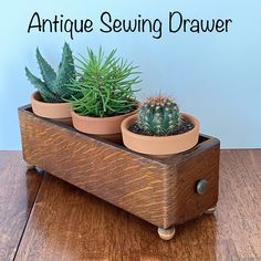 three succulents are sitting in small pots on a wooden stand with the words antique sewing drawer