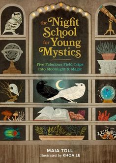 the night school for young mystics five fabulous field trips into moonlight and magic