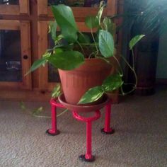 a potted plant sitting on top of a red stand