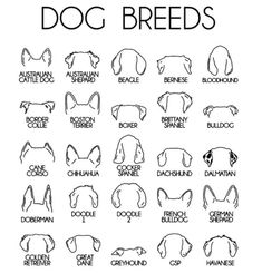 the dog breeds are shown in black and white, with their names on it's back