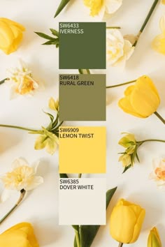 some yellow and white flowers are on a table with the colors green, brown, and white