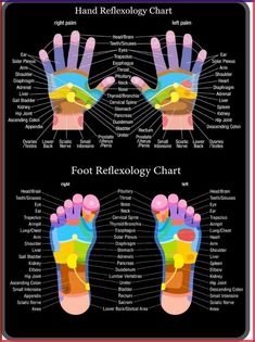 Why Zinc is Important for Gut Health agutsygirl.com #zinc #guthealth #minerals #supplements favorite foods Hand Reflexology Chart, Decor For House, Reflexology Foot Chart, Hand Reflexology, Reflexology Chart, Holistic Diet, Swollen Legs, House Bar, Foot Reflexology