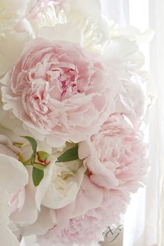 pink and white peonies in a vase on a window sill by a curtain